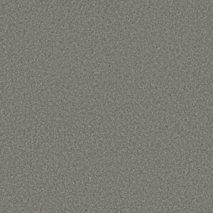 TWEED COMFORT BLUE by Shaw Floors - First Class