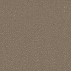 ELABORATE ARTIFACT by Shaw Floors - Cameo