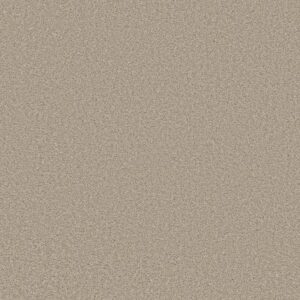 TRUSOLUTIONS II by Shaw Floors - Sand