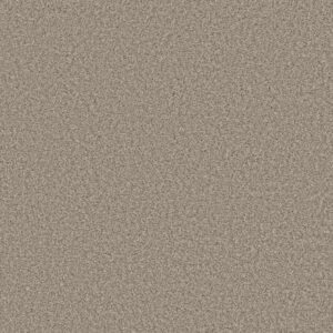 ALWAYS RIGHT II by Shaw Floors - Buttercream