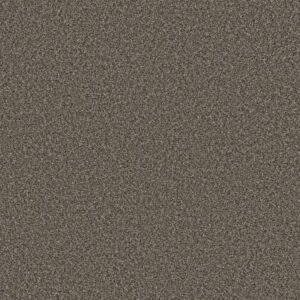 REMIXED CLASSIC by Shaw Floors - Rock Garden