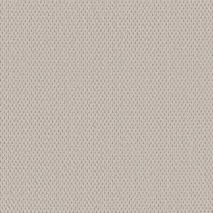 PERSPECTIVE PATH by Shaw Floors - Natural Choice
