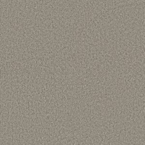 RENEWED ENERGY II by Shaw Floors - Landscape