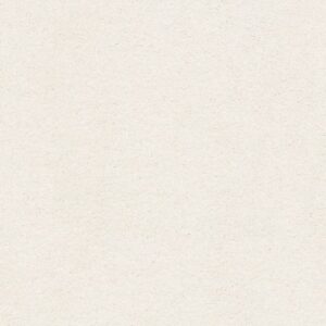 YOUR COMFORT I by Shaw Floors - Clean Linen