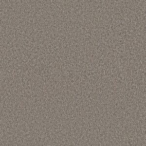 BEST YET by Shaw Floors - Graphite