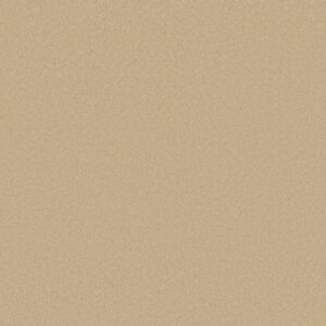 AWAKEN SPIRIT I by Shaw Floors - Sugar Cookie