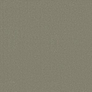 AWAKEN SPIRIT II 12' by Shaw Floors - Silver Sage