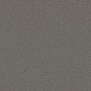 AWAKEN SPIRIT II 15' by Shaw Floors - Taupetone