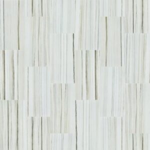 VISION 12X24 POLISH by Shaw Floors - Zebrino