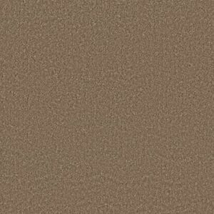 POSH LIFE by Shaw Floors - Mission Ridge