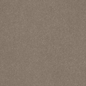 SOLIDIFY II 15' by Shaw Floors - Natural Contour