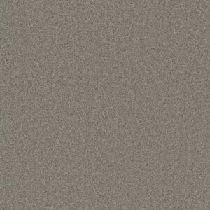 BROADCAST PLUS by Dreamweaver - Silver Birch 800