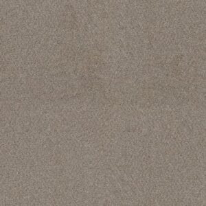 STAR STRUCK by Dreamweaver - Ash 945