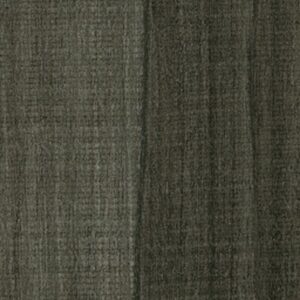 Symbiotic 30 by Shaw Floors - Pitch