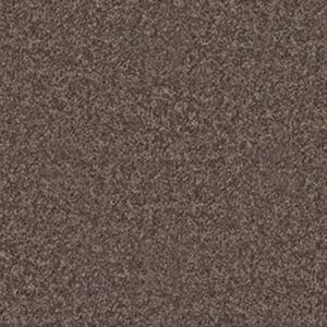UNION CITY III 12' by Shaw Floors - Molasses