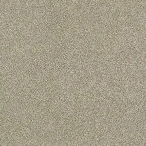 MONTAGE I by Shaw Floors - Lunar Surface