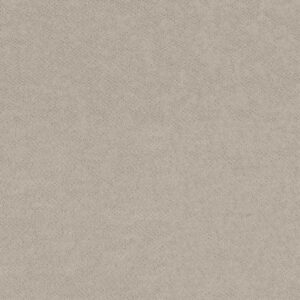 MAINSTAY by Shaw Floors - Fossil Path