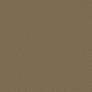 EVERYDAY COMFORT (S) by Shaw Floors - Log Cabin