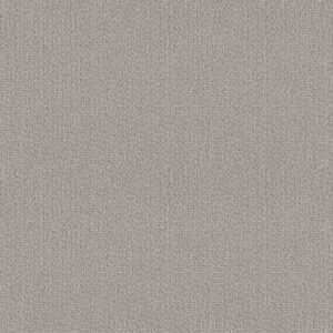 LOOP DE LOOP by Shaw Floors - Warm Greige