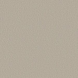 AERIAL VIEW by Shaw Floors - Spun Wool