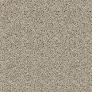 POISED by Shaw Floors - Cork