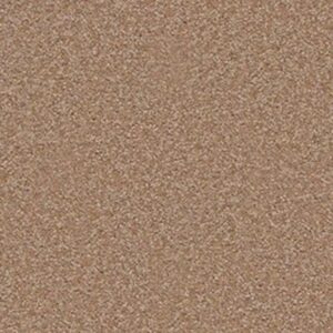 SHINGLE CREEK II 12' by Shaw Floors - Mojave