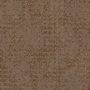 ARTISTIC PRESENCE by Shaw Floors - Raw Wood