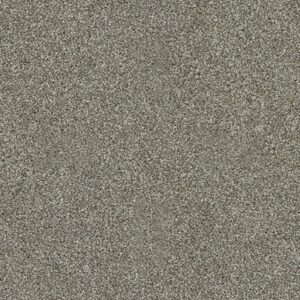 INSPIRING by Shaw Floors - Pewter