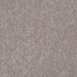 DESIGNER'S CHOICE by Shaw Floors - Mocha Frost