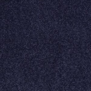 MAGIC AT LAST I 12' by Shaw Floors - Blue Ink