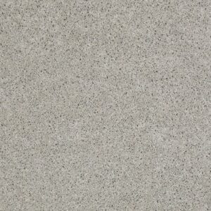 LOYAL BEAUTY II by Shaw Floors - Sheer Silver