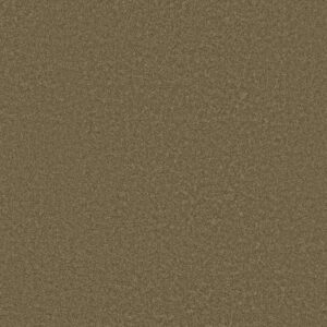 LOYAL BEAUTY III by Shaw Floors - Bonsai