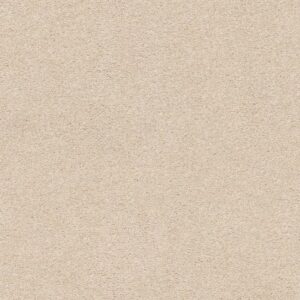 FIND YOUR COMFORT NS I by Shaw Floors - Happy Place (S)