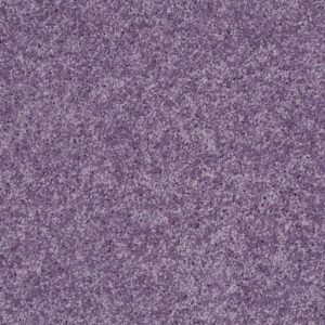 KID CRAZY by Shaw Floors - Lolli Pop