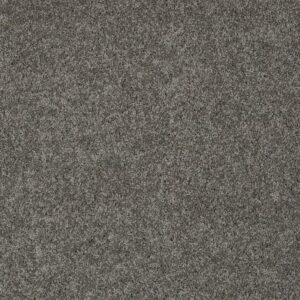MY DESTINATION II by Shaw Floors - Graphite