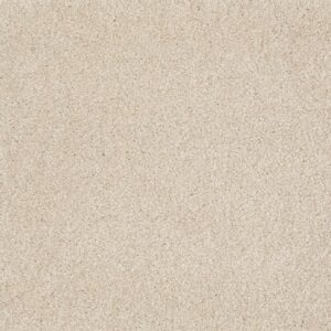 MOMENT OF TRUTH by Shaw Floors - Sandy Shore