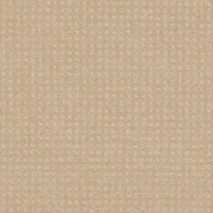 MY DESTINATION PATTERN by Shaw Floors - Mesa