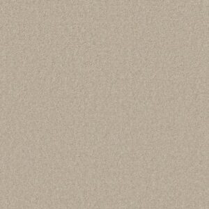 OPPORTUNITY KNOCKS by Shaw Floors - Doeskin