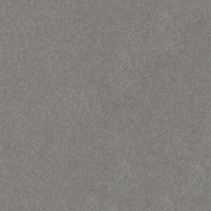 HARD AT PLAY III 12' by Shaw Floors - Vintage