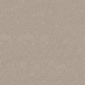 HARD AT PLAY II 12' by Shaw Floors - Soft Sense