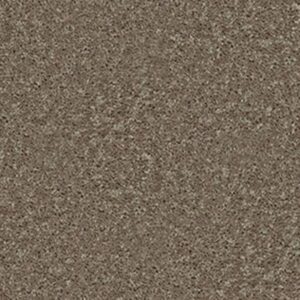 ROYAL PORTRUSH III 12' by Shaw Floors - Hearth Stone