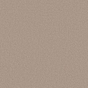 HARMONIOUS I by Shaw Floors - Heirloom