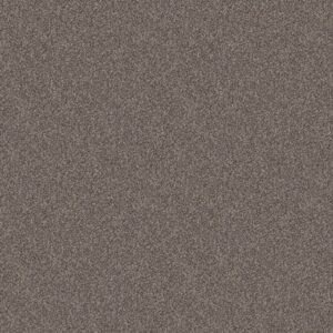 AFTER IT II by Shaw Floors - Reflection