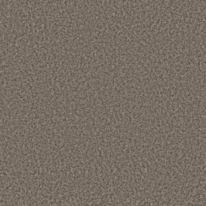 BREAK AWAY (B) by Shaw Floors - Boulder