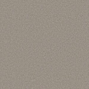 YOU GOT THIS II by Shaw Floors - Chic Greige
