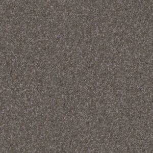 LAGUNA BEACH by Shaw Floors - Stone Hearth