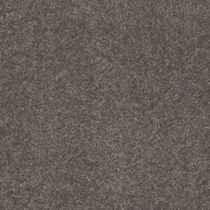 THAT'S RIGHT by Shaw Floors - Stone Hearth