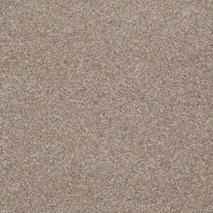 ALWAYS READY II by Shaw Floors - Summerville