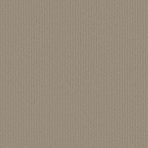 COMPLETE CONTROL by Shaw Floors - Park Avenue