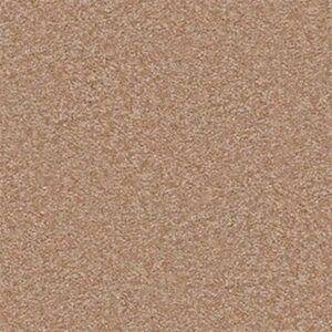 TIMELESS APPEAL II 15' by Shaw Floors - Muffin